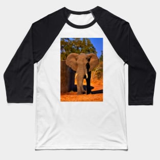 Kruger Elephant Baseball T-Shirt